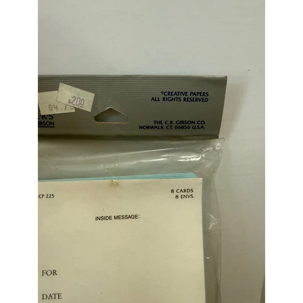 2 Packs Creative Papers by C.R. Gibson Open House Invitations Floral Blue Pink
